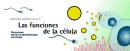 Las funciones de la c�lula