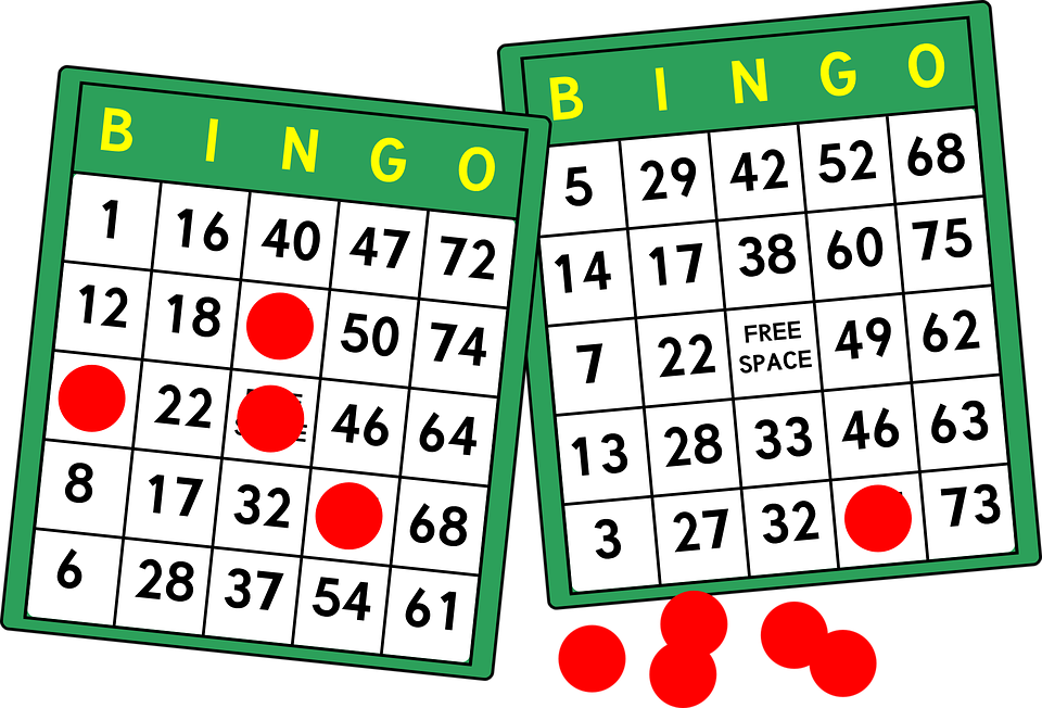 curiosidades del bingo