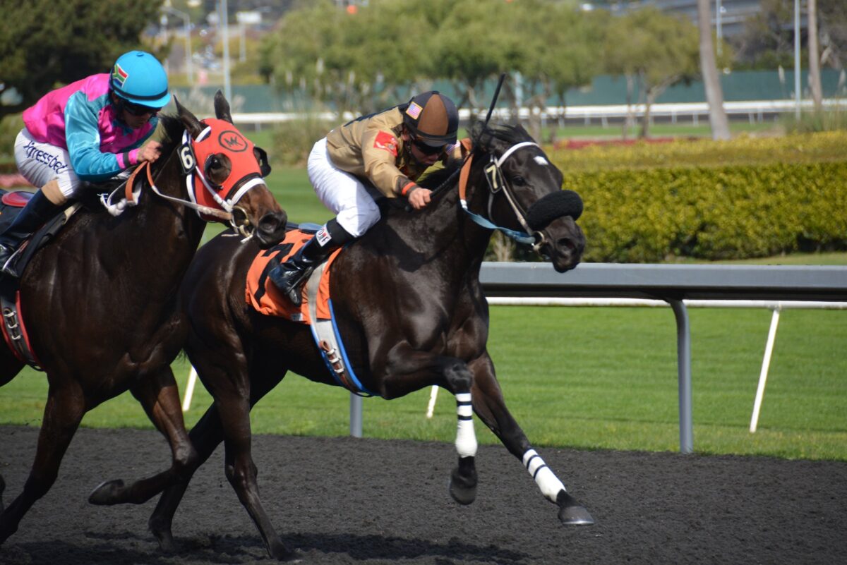 Apuestas deportivas en Florida