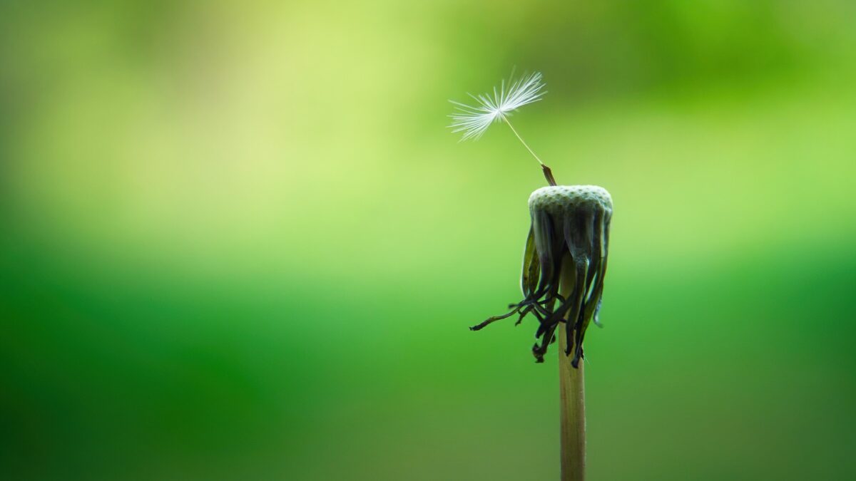 Mindfulness: ¿cómo mantener la calma en la tormenta?