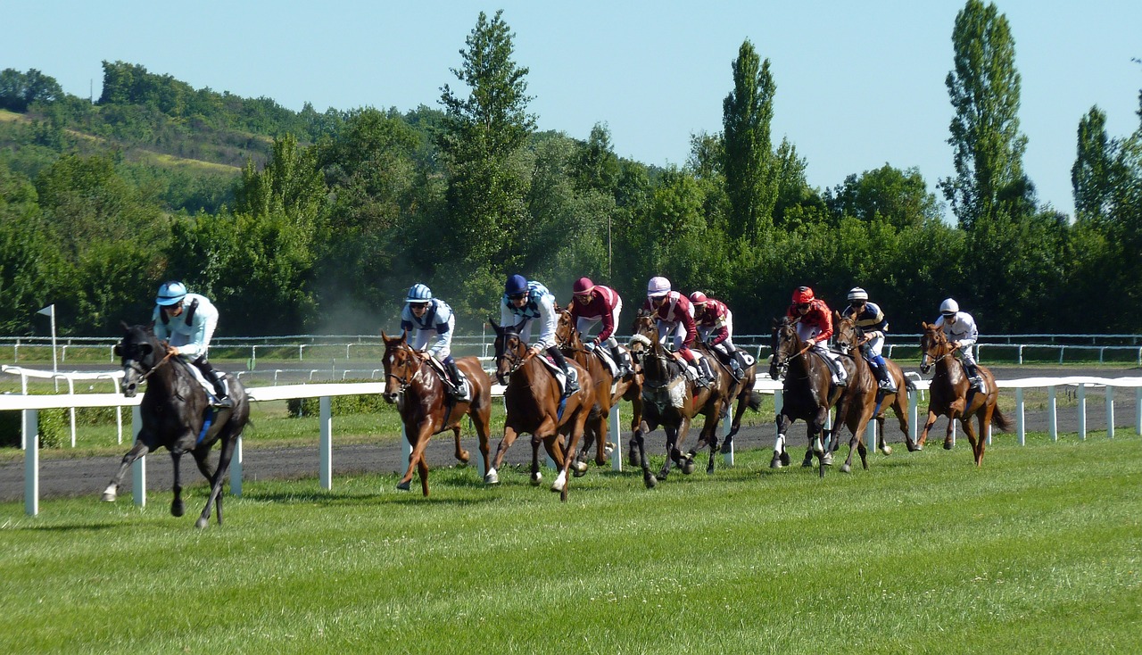imagen de una carrera de caballos