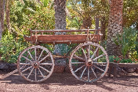 Coches de caballos: historia, tipos y usos