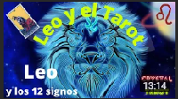 ¿Cómo es un LEO? Conoce sus características y su compatiblilidad