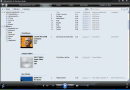 Reproductor de Windows Media (XP) v11