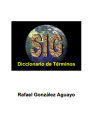 Diccionario de terminos GIS