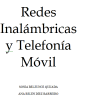 Redes inalámbricas y telefonía móvil