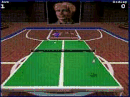 Tenis de Mesa virtual