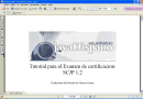 Traducción del Tutorial de Certificación Java