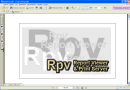 Generar reportes con Rpv Printing System