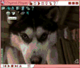 Crystal Player v1.98