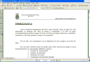 Tratamiento en diferentes entornos de los campos con decimales