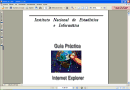 Guía Práctica de Internet Explorer