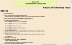 Curso de Termodinámica Irreversible