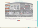 Manual de Vuelo