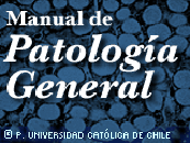 Manual de Patología General