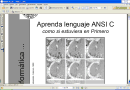 Aprenda Lenguaje ANSI C como si estuviera en Primero