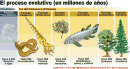 La Prehistoria