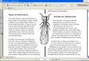 Termitas Subterráneas y su control