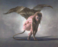 Metamorfosis Humano-Animal