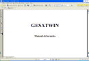 GesatWin: Manual del usuario