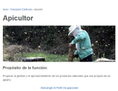 Apicultor