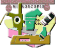 El microscopio y sus elementos