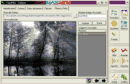 TasaPlus (W98)