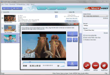 Need4 Video Converter v8.1