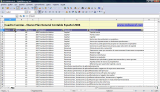 PGC - Plan General Contable Español 2008 Excel v1.0