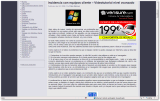 Problemas con los DNS