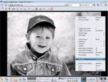 digiKam v8.5.0