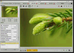 RawTherapee v4.0.11.1 (Ubuntu)