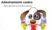 Adiestramiento canino