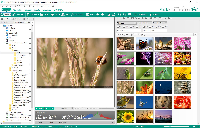 Ashampoo Photo Commander FREE v21.556