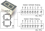 Microcontroladores: Display de LED