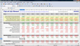 Flujo de Caja Mensual Excel v1.0