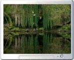 Reflejos en el Agua Salvapantallas Animado