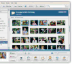 Picasa v3.1