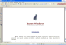 Introducción a Bastet Windows