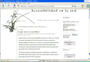 Google valora la accesibilidad
