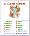 El cuerpo humano