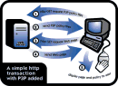 Guía Breve de Privacidad y P3P