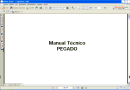 Manual técnico de pegado