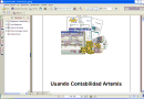 Usando Contabilidad Artemis