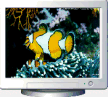 Free Fish Screensaver v1.0