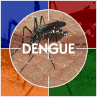 Fiebre del dengue hemorrágico