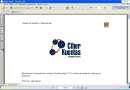 Manual de CiberKuentas Servidor y Cliente