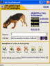 The Sleuthhound! Desktop Search v4.6.3