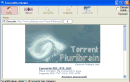 TorrentPluribrain - Buscador de Torrents v1.1 Beta