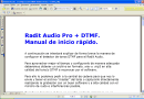 Radit Audio Pro + DTMF